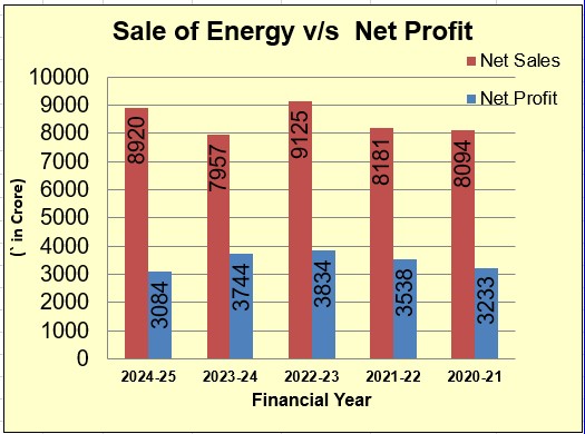 Sale of energy net profit 25